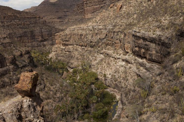 Rock Paintings Of Sierra De San Francisco Echoes Of The Ancients LAC Geo   San Pablo Canyon Sierra De San Francisco Opt (1) 